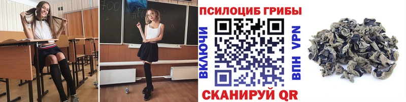 Галлюциногенные грибы Psilocybine cubensis  KRAKEN онион  Болохово 